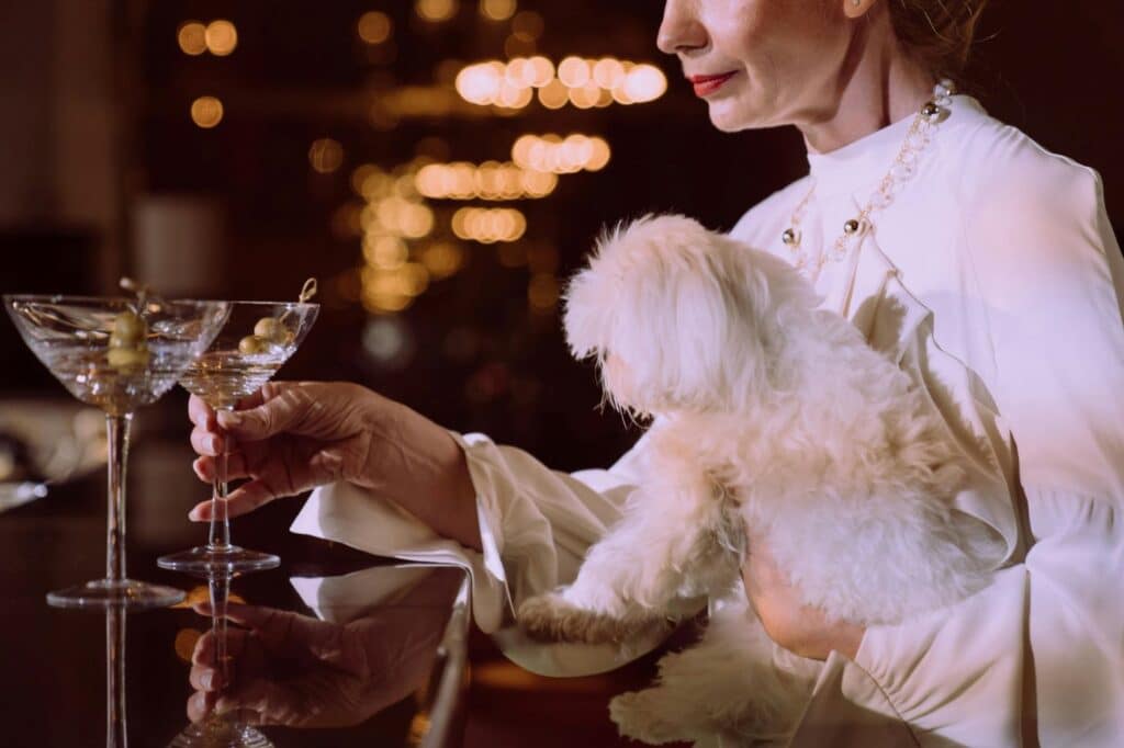 Estate Planning for Pets? 3 Famous Pet Inheritance Stories
