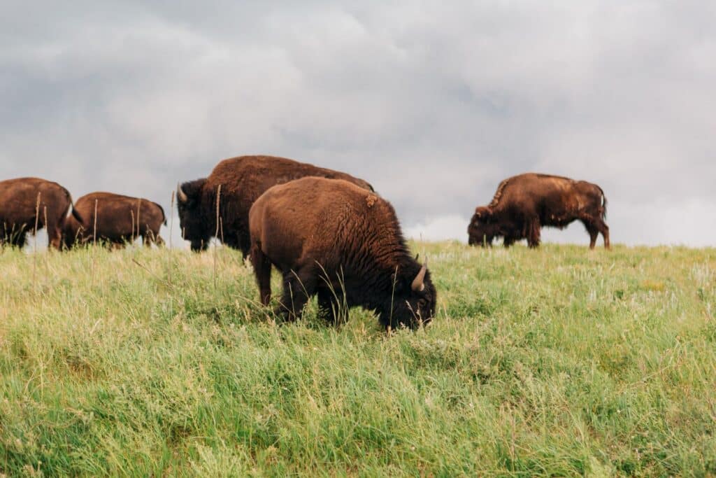 Who Will Inherit Ted Turner's Estate? Lessons for Families